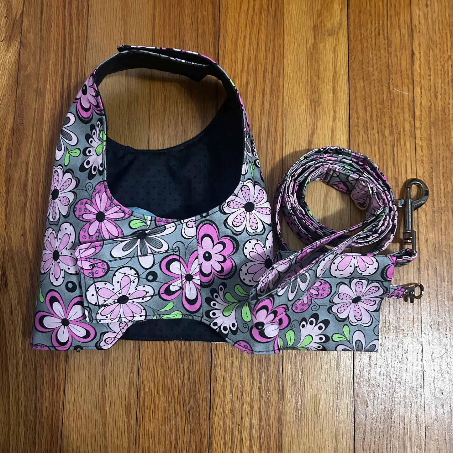 Harness and Leash Set