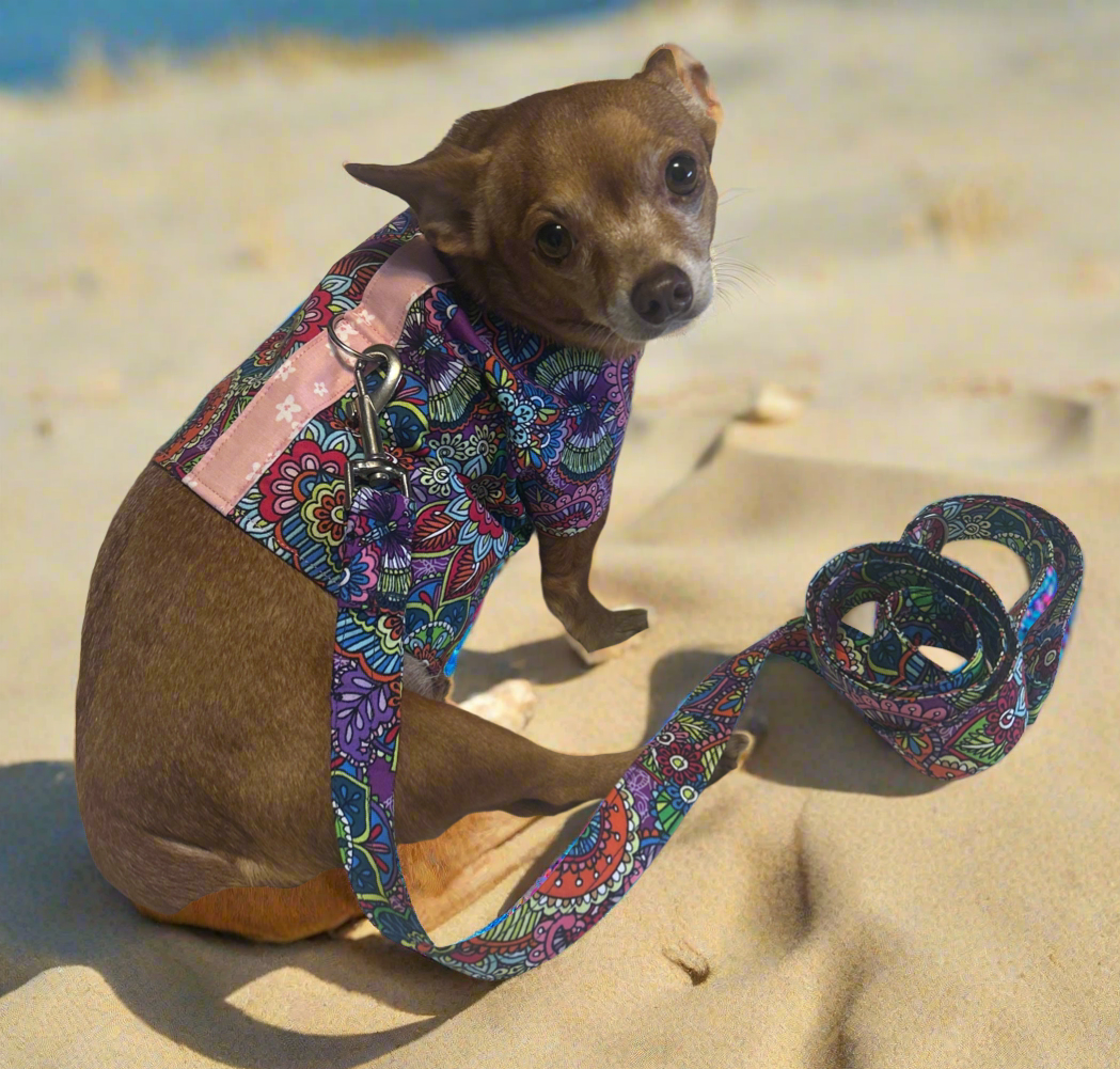 Dog Harness and Leash Set