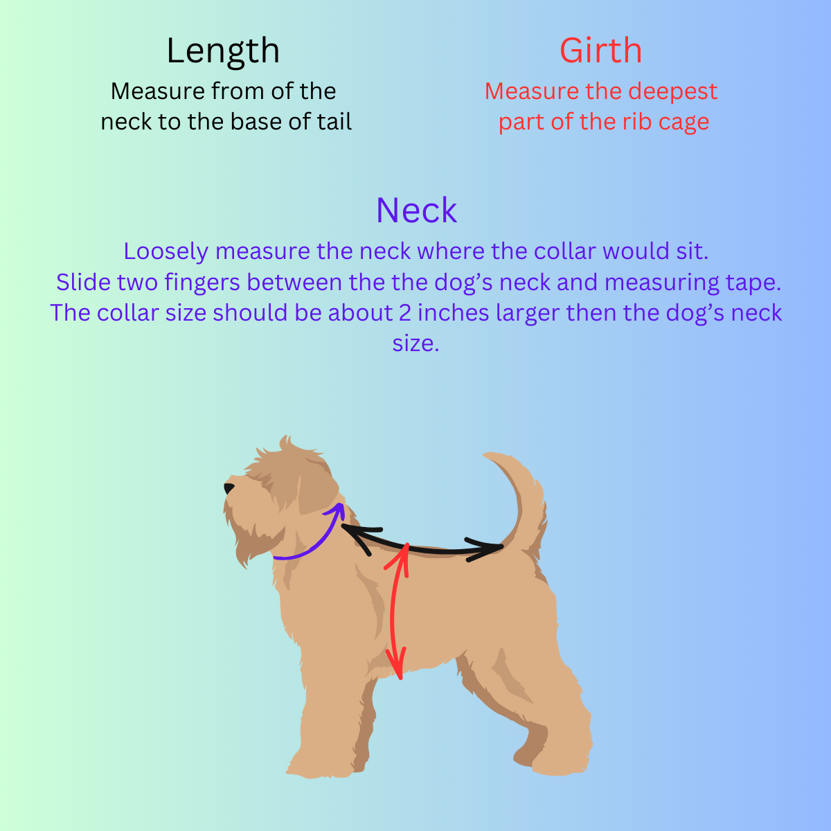 Dog Collar